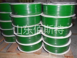 17C精品麻豆一区二区免费圆带